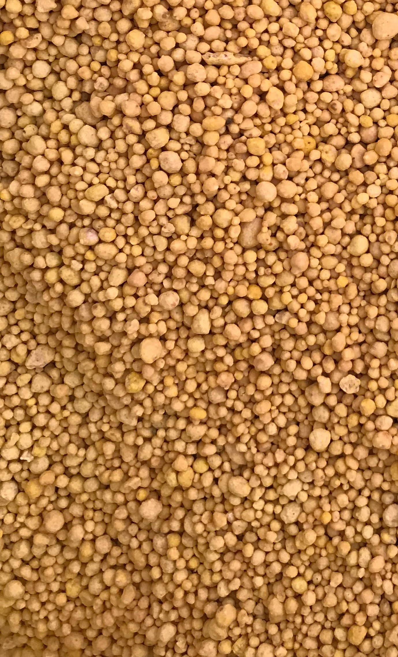 shutterstock 1161706168 v2